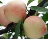 ˮ���ҿ�ʼ������