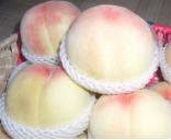 ��ժ������ˮ����